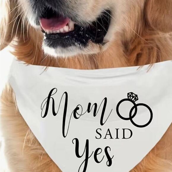 WEDDING DOG BANDANAS - Set of 2. White+ Black. NWT - Picture 2 of 5